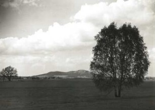 Löbauer Berg von Südosten. Ansicht mit großer Eiche von Herwigsdorf und Birkengruppe