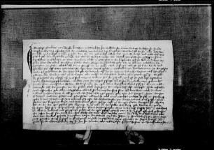 Pfaff Burkhard von Nagold, Kirchherr zu Haiterbach, seine Mutter Adelheid und sein Bruder Walter verkaufen an den Nikolausaltar in der Leutkirche zu Ebhausen 1 lb. h. Gült aus Gütern zu Haiterbach um 20 lb. h.