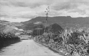 Schlucht (Lateinamerika-Aufenthalte 1928/1942 – Album Das Vulkanland im Süden Kolumbiens. II. Teil, 1940)