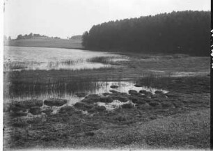 bei Wangen
