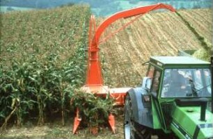 Fotografie: Erntetechnik, Silomais, Maishäcksler angebaut, Scheibenradfeldhäcksler, Parallelverfahren
