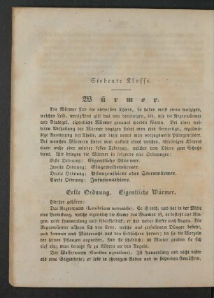 Siebente Klasse. Würmer.