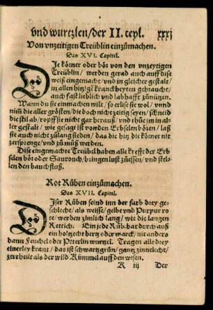 Das XVII. Capitel.