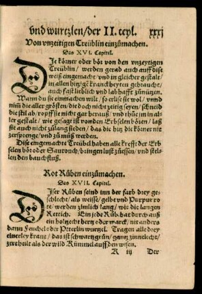 Das XVII. Capitel.
