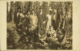[Beim Sammeln im Wald]