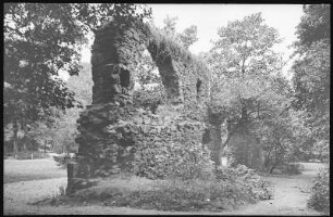 Grimma. Klosterruine Nimbschen