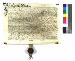 Erblehenrevers Hans Blässing zu Nellingen um die Neuwiese zu Werntzhausen