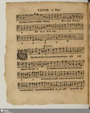 XXIII. Schmecket und sehet