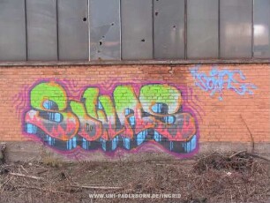 SoWAS