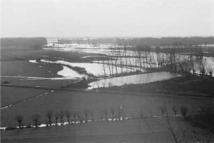Überschwemmte Flussauen : Blick über die überschwemmten Auen der Weißen Elster