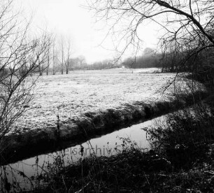 Ehlersberg: Alster: vorn Sträucher und Bäume: dahinter Wiesen: hinten Wald: Winter