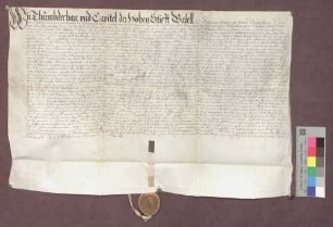 Lehnbrief des Basler Domkapitels für Kaspar von Jestetten über den Dinghof zu Istein.