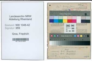 Entnazifizierung Friedrich Gros , geb. 03.06.1911 (Koch)