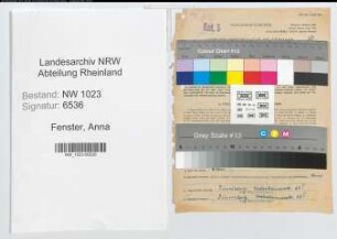 Entnazifizierung Anna Fenster , geb. 04.07.1895 ()