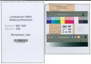 Entnazifizierung Karl Bornemann , geb. ()