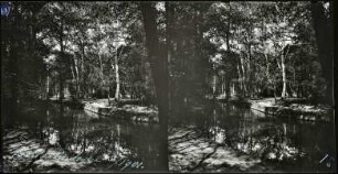 Paris. Bois de Boulogne