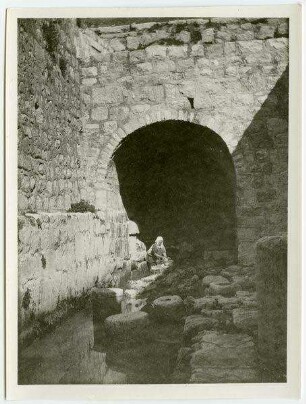 birket silwan [Siloah]
