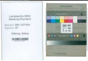Entnazifizierung Selma Wilbring , geb. 00.00.0000 (Anstreicher)