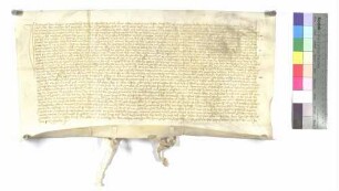 Verkauf einer Weingült zu Markdorf durch Thomas Wern an Kloster Wiblingen