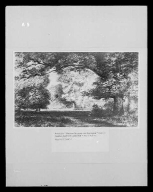 Landschaft