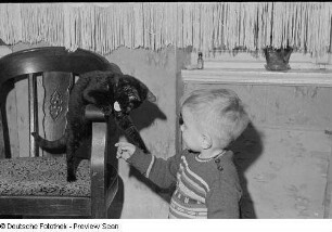 Porträt eines kleinen Jungen mit Katze