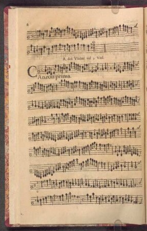 A doi Violini, & Violon se piace.