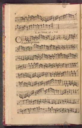 A doi Violini, & Violon se piace.