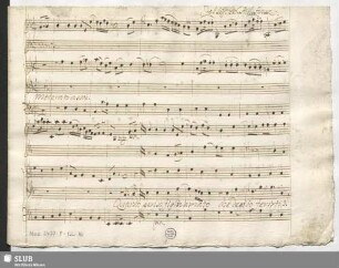 Leucippo. Excerpts - Mus.2477-F-120,16 : T, strings, bc