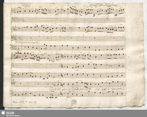Leucippo. Excerpts - Mus.2477-F-120,16 : T, strings, bc
