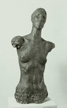 Torso G.N.