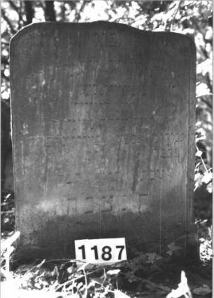 Grabstein 1187 (Index: 99899933) Material: Sandstein Zustand: unten stark verwittert Maße HxBxT: 99x75x9 cm Beschreibung: Stele mit flachem Schulterbogenabschluss: Grabstein 1187