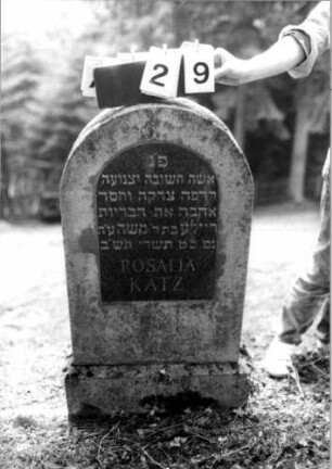 Grabstein 29 (Index: 100108226) Material: Kalkstein, schwarze Marmorplatte Zustand: gut Maße HxBxT: 100x51x16 cm Beschreibung: Stele, Sockel, Rundbogenabschluß, Schriftplatte: Grabstein 29