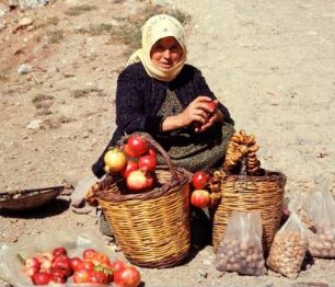 Steni (Euböa), Frau aus dem Dirfys-Gebirge auf dem Markt verkauft Granatäpfel, Feigen und Nüsse