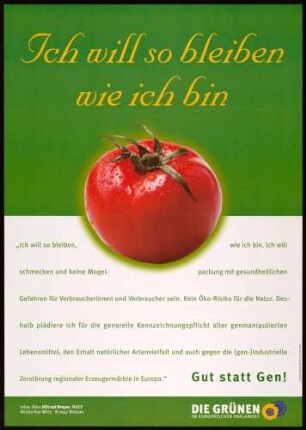 Bündnis 90/Die Grünen, Europawahl 1999 ?