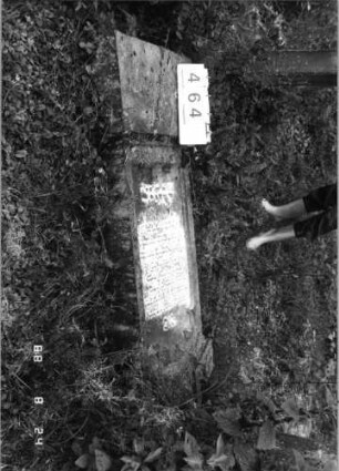 Grabstein 464 (Index: 100095283) Maße HxBxT: 170x52x20 cm: Grabstein 464