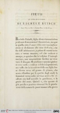 XXIV. Frutti. Quadro in tavola di Rachele Ruisch