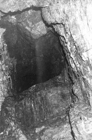 Nossen-Kottewitz. Höhle beim Buschhaus