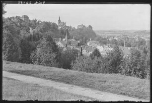 Leisnig. Blick auf Leisnig