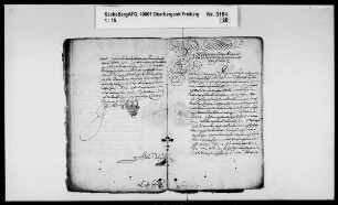 Berghauptmann Caspar von Schönbergs Goldbergwerksangelegenheiten in Purschenstein