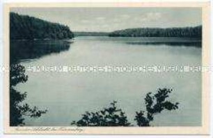 Der Mühlensee bei Tannenberg
