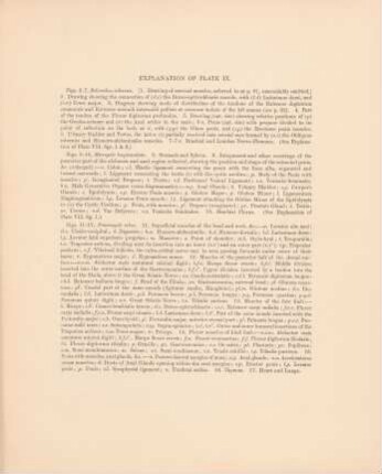 Explanation of plate IX.
