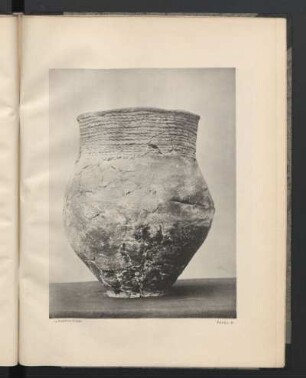 Tafel III. Die schurverzierte Urne.
