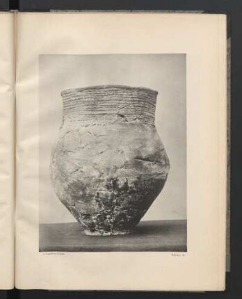 Tafel III. Die schurverzierte Urne.