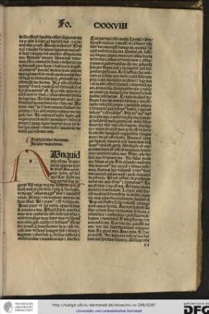 Incipit undecimus.