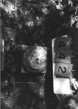 Grabstein 442