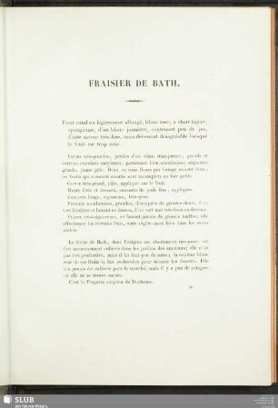 Fraisier De Bath.