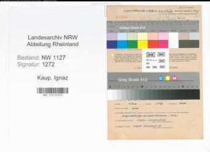 Entnazifizierung Ignaz Kaup , geb. 22.09.1891 (Lehrer)
