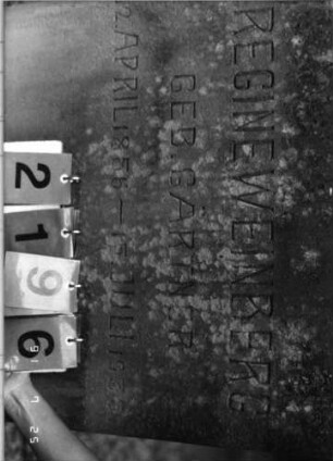 Grabstein 2196 [Hahn S. 224 Grab-Nr. 3152]: Grabstein 2196 (Detailaufnahme) [Hahn S. 224 Grab-Nr. 3152]