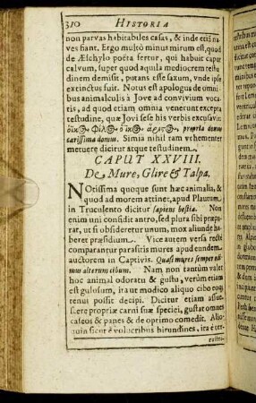 Caput XXVIII. De Mure, Glire & Talpa.