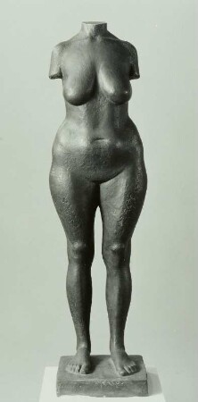Weiblicher Torso